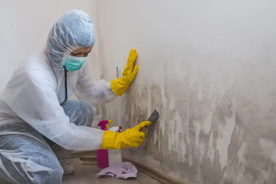 water damage restoration service Chesapeake Beach